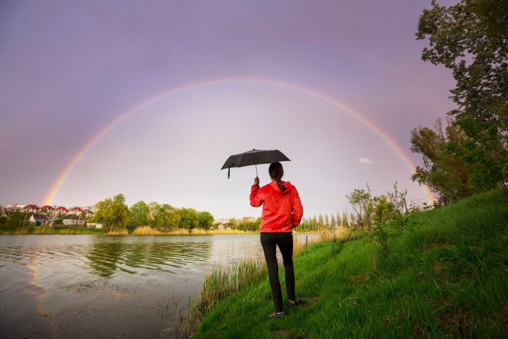 promises promises promises