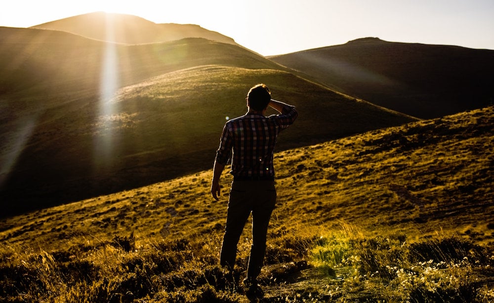 Search the heart test the mind