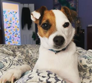 This Little Light of Mine