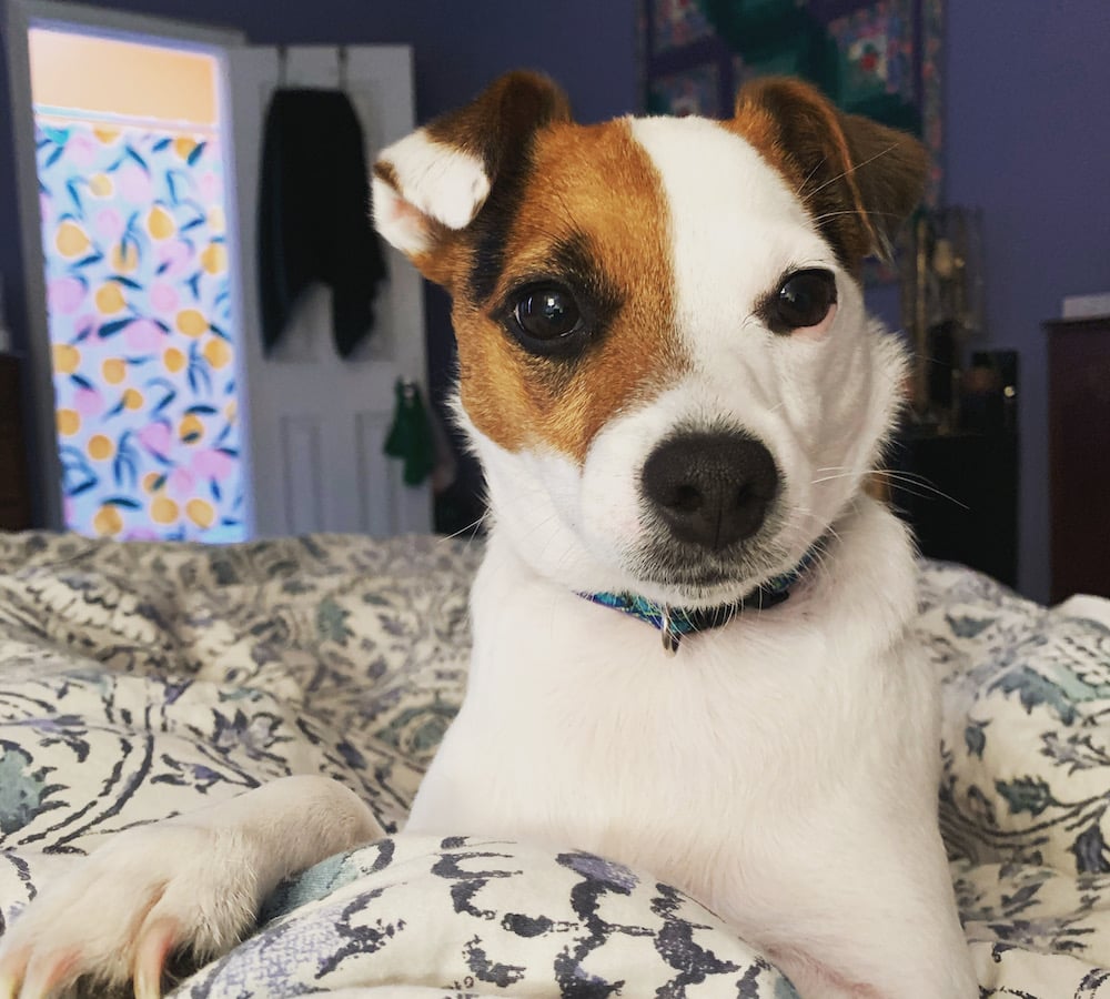 This Little Light of Mine