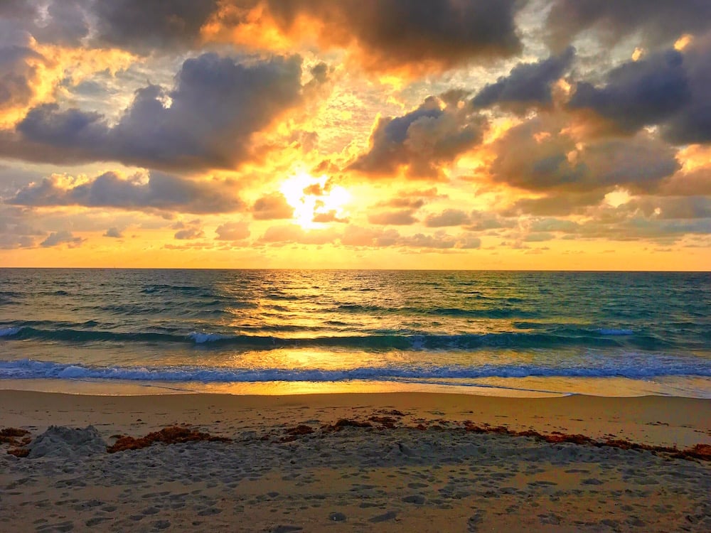 What's Inside the Heart of the Matter