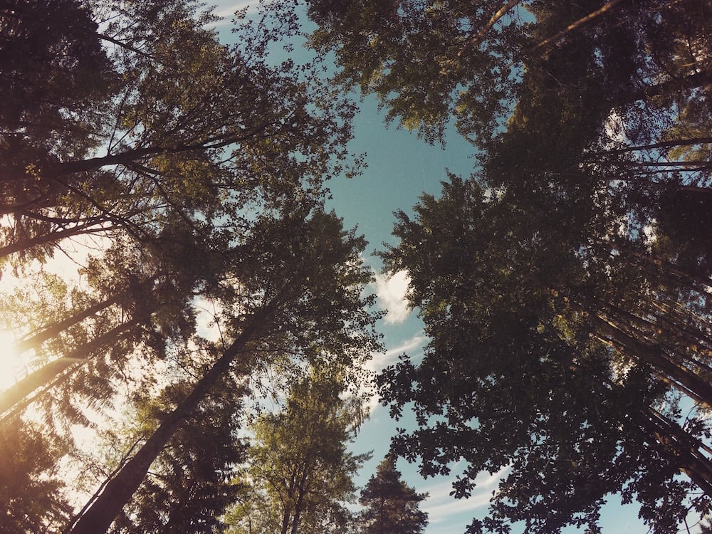 You Don't Have to Sit with Me Anymore