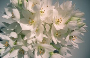 Plans to Give You Hope and a Future