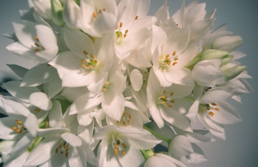 Plans to Give You Hope and a Future