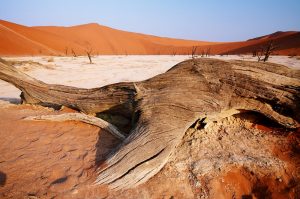 You Have to Learn in the Valley