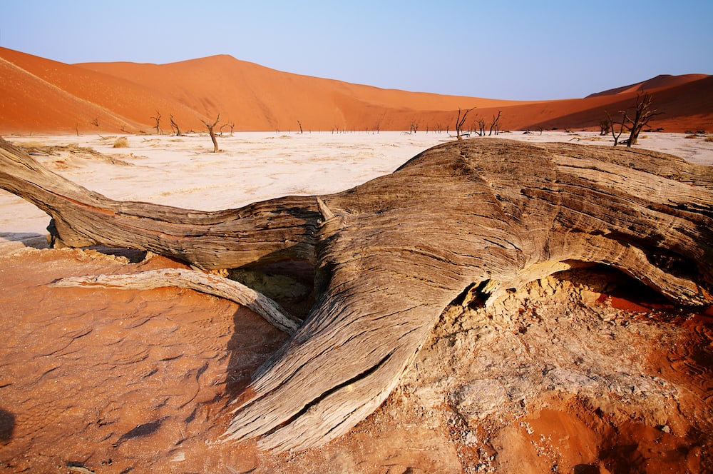 You Have to Learn in the Valley