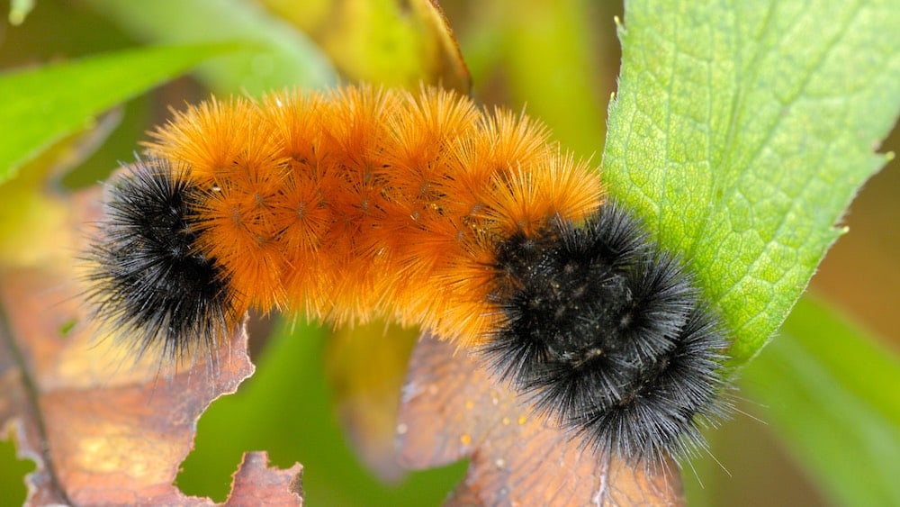 Signs Signs Everywhere Signs