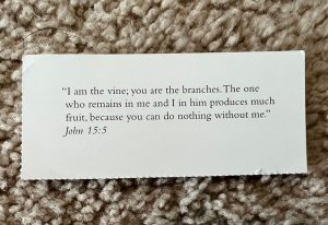 I-am-the-Vine