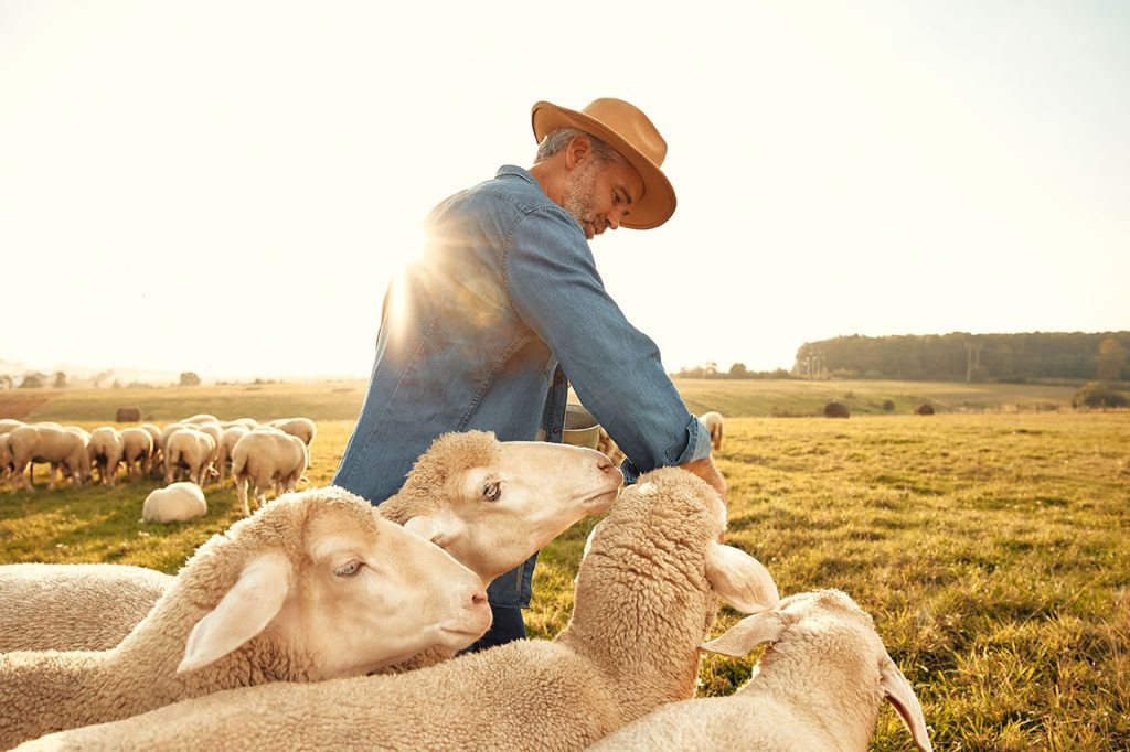 I-AM-the-Good-Shepherd
