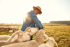 I-AM-the-Good-Shepherd