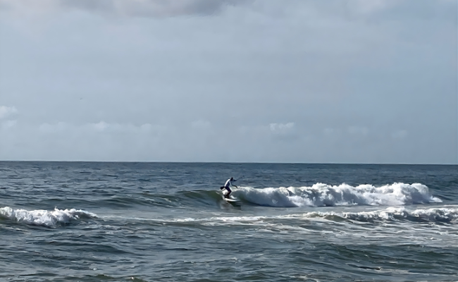 Surfing the Living Waters